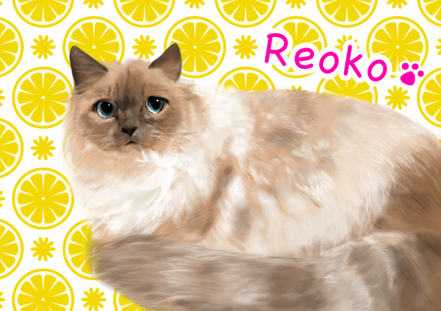 Reoko🤍