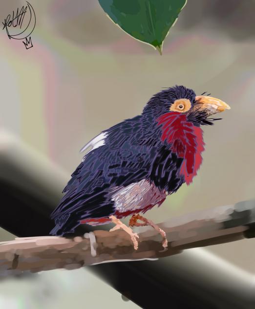 Tropical Bird Painting!