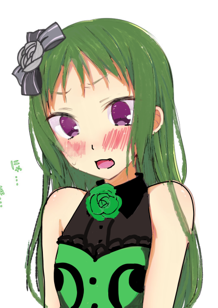 わかにゃん