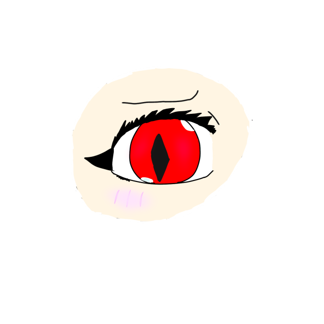 An eye