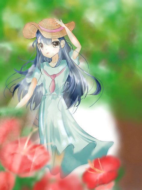 ハイビスカス🌺