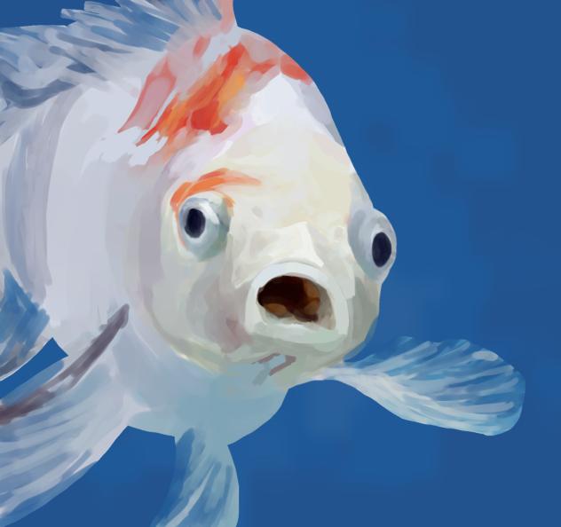 🐠