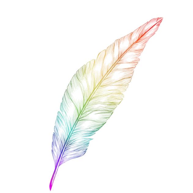 Feather colorful