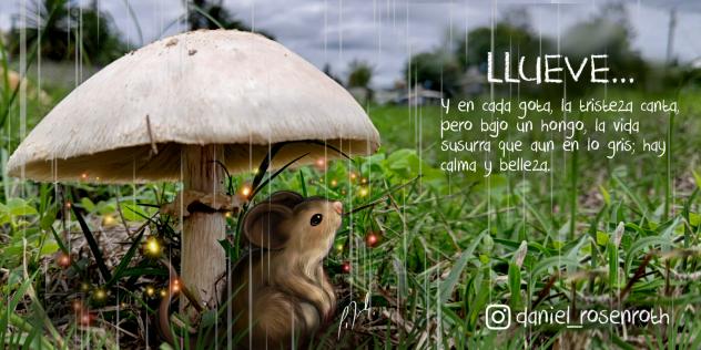 Raton bajo la lluvia