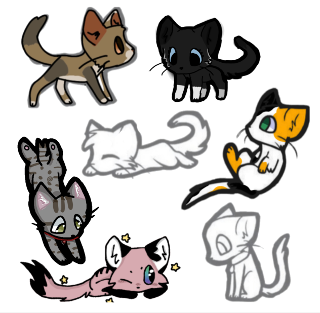 Cat collab