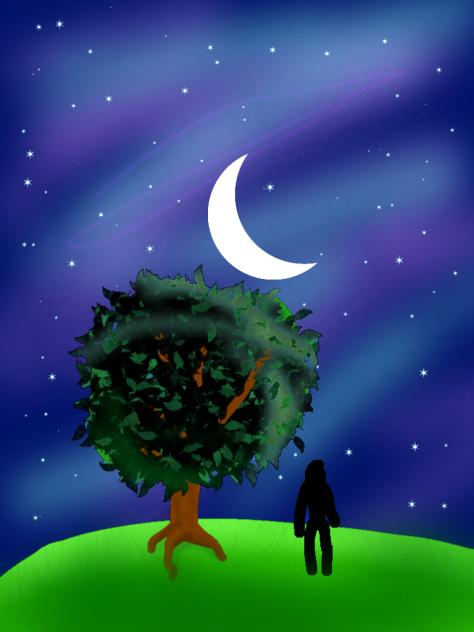 Night Sky - ibisPaint
