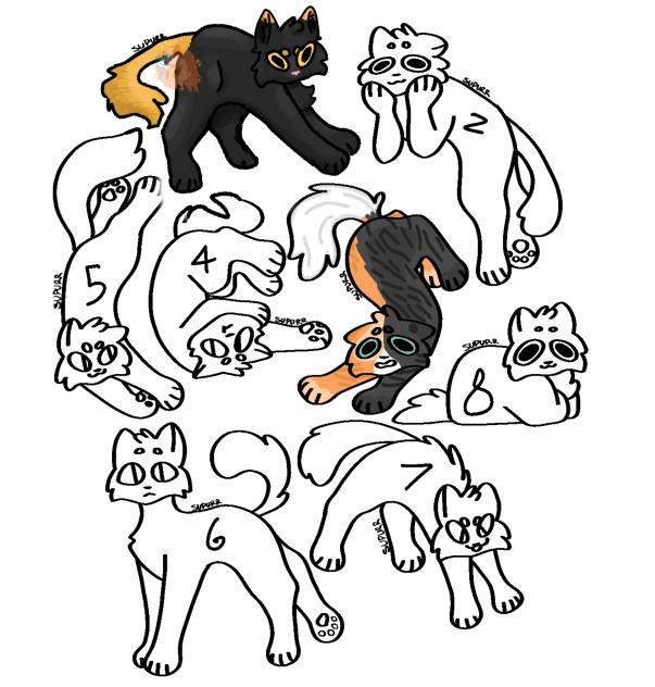 ⭐️ Cat collab ⭐️
