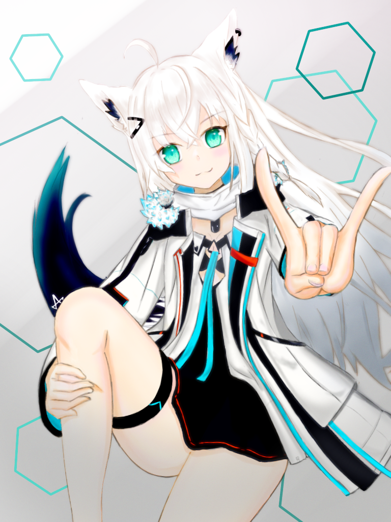 白上フブキ - ibisPaint