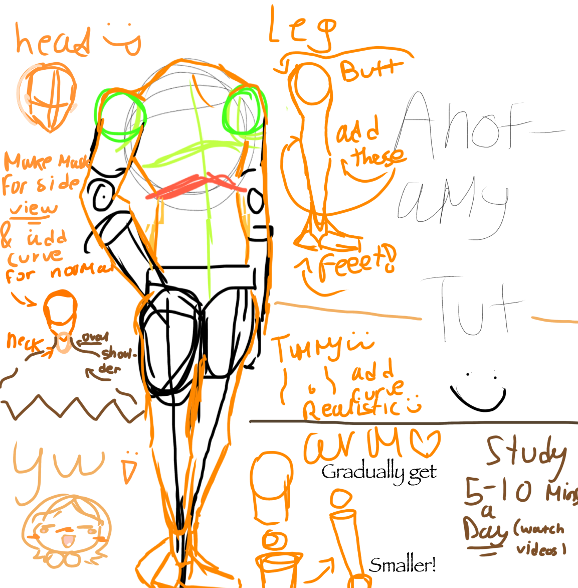 Anatomy tutorial! - ibisPaint