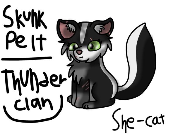 Warrior Cats. SkunkPelt.