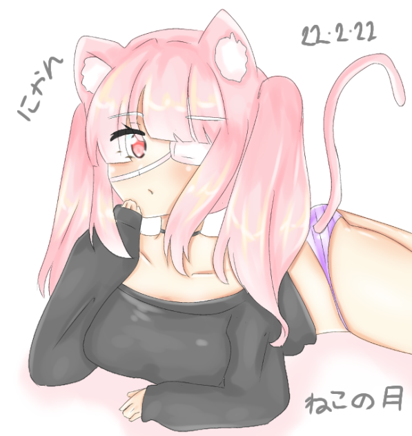 ねこの日