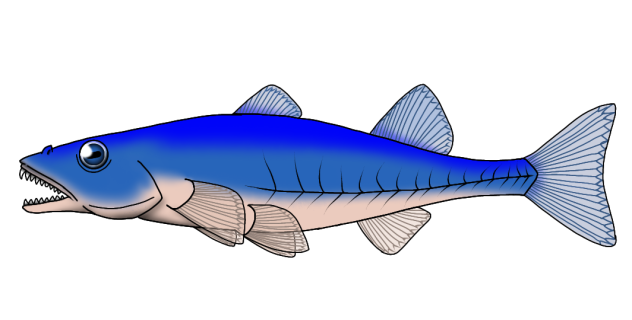 Bluedrifter Pleco render