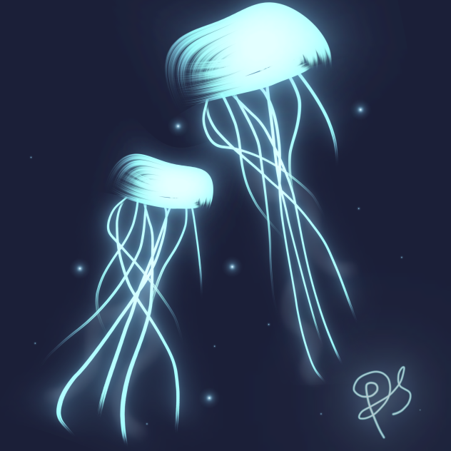 Jellyfish - ibisPaint