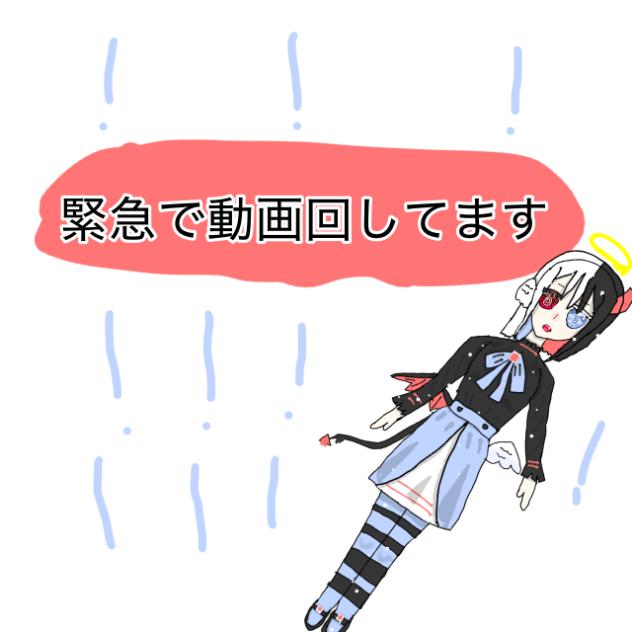 緊急で動画回してます