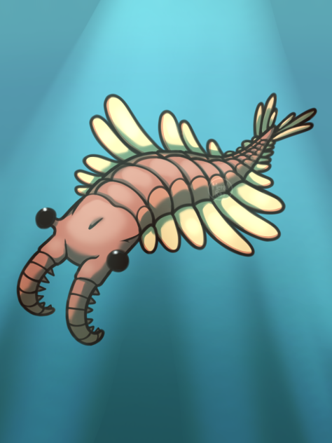 For Fern - Anomalocaris