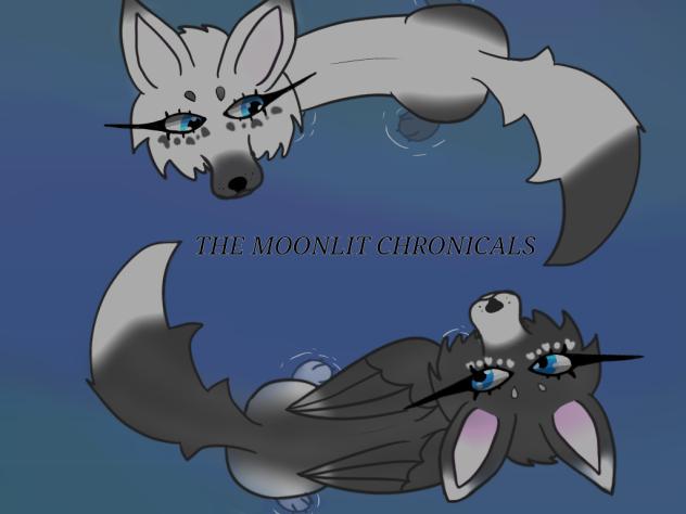 Second Comic Cover - ibisPaint