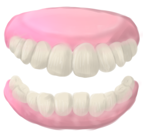 フリー素材・入れ歯