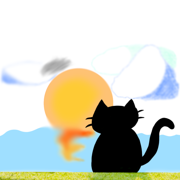 夕日を見つめる黒猫