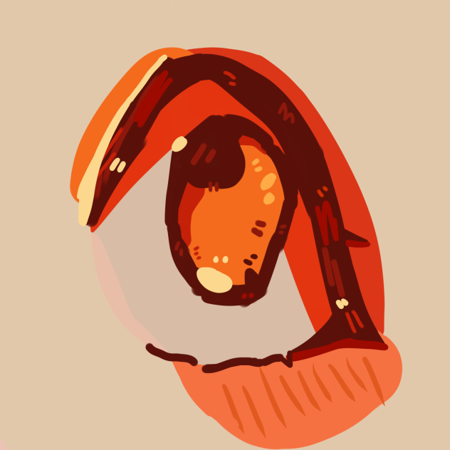 tbhk eye