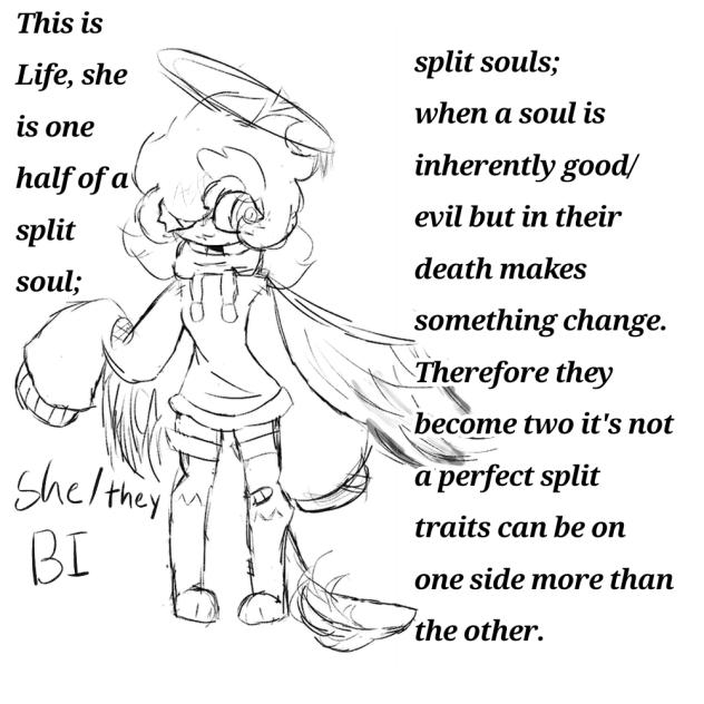 What is a split soul
