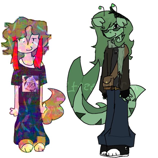 new and old sona