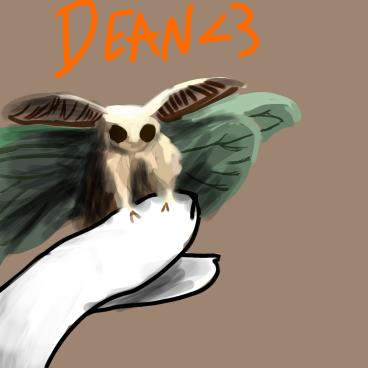 Moth - ibisPaint