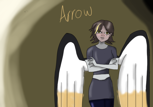 Arrow requested by Shannon Custer