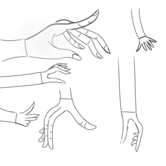 How to draw different types of hands