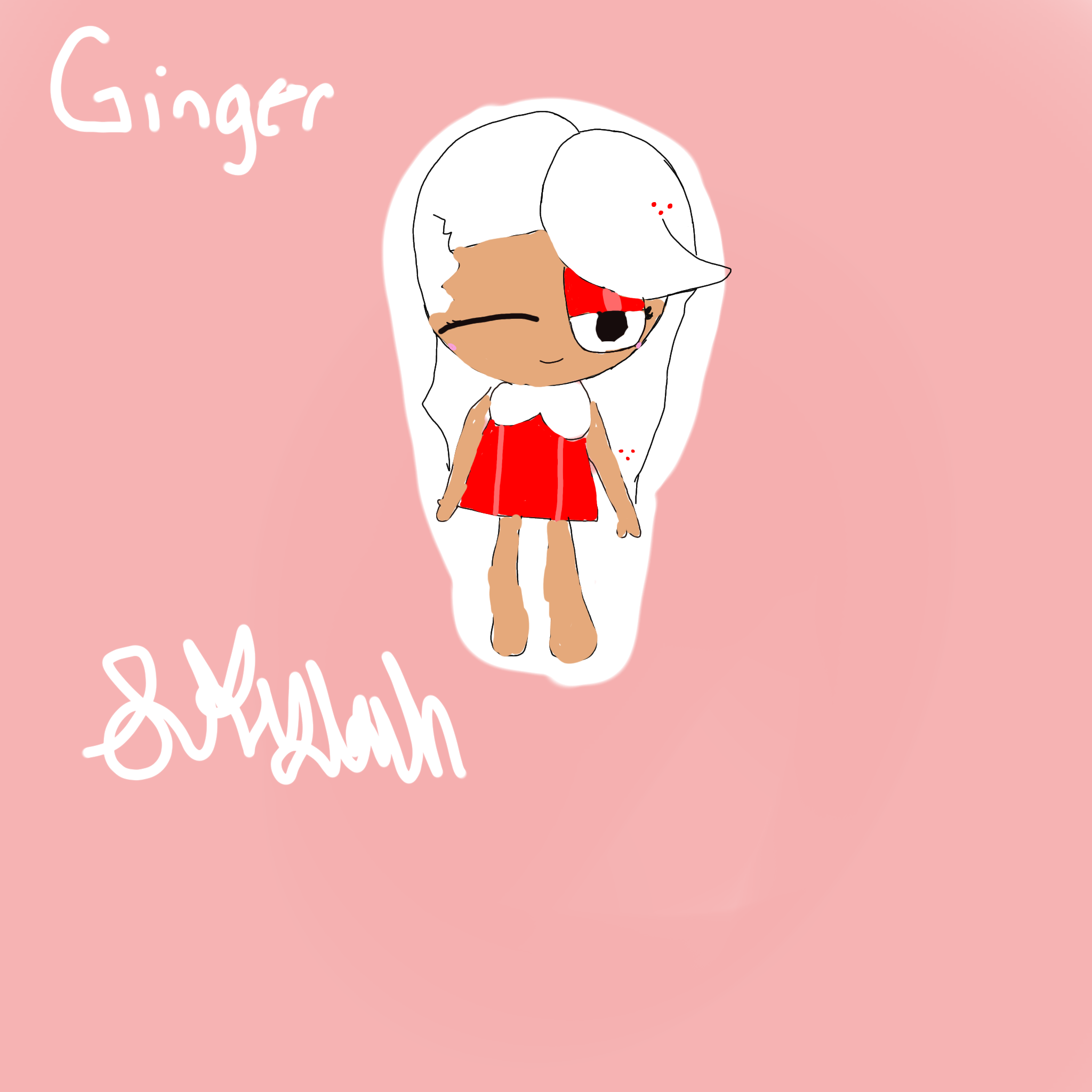 ginger - ibisPaint