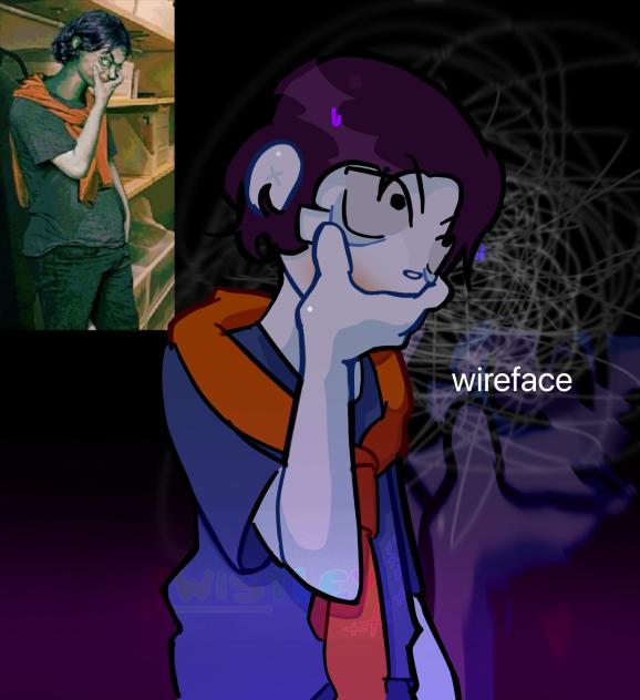 no im not a human wireface