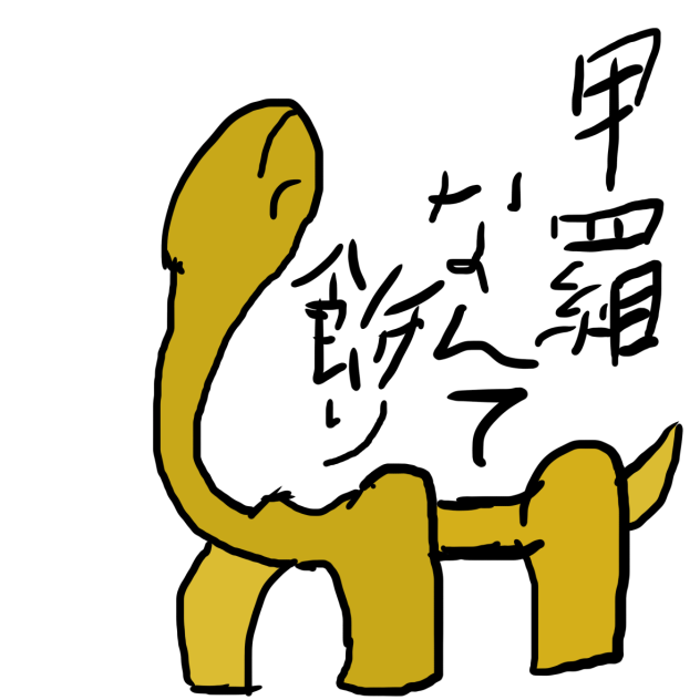 亀≠甲羅