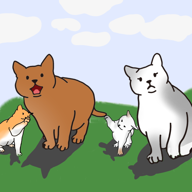 family x cat