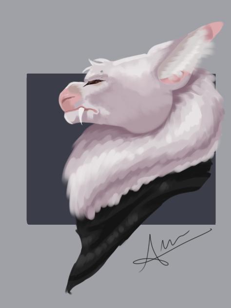 random dtiys