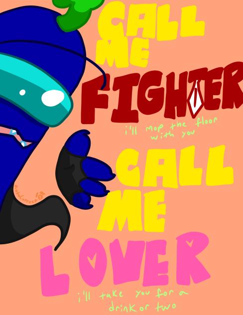 Fighter
