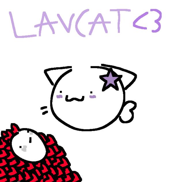 LAVCAT