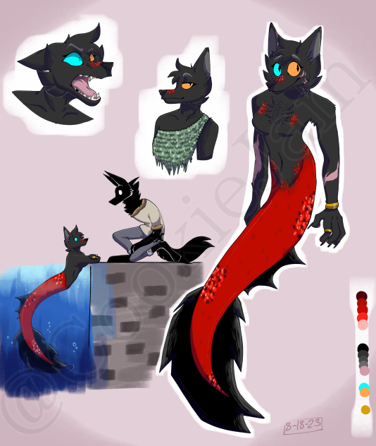 Shane as s i r e n- (remade for someone)