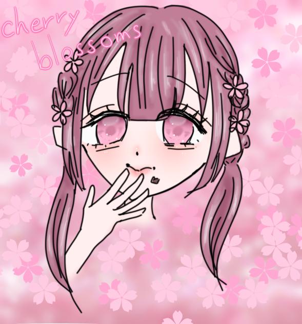cherry blossoms  桜♡