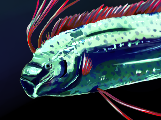 Oarfish