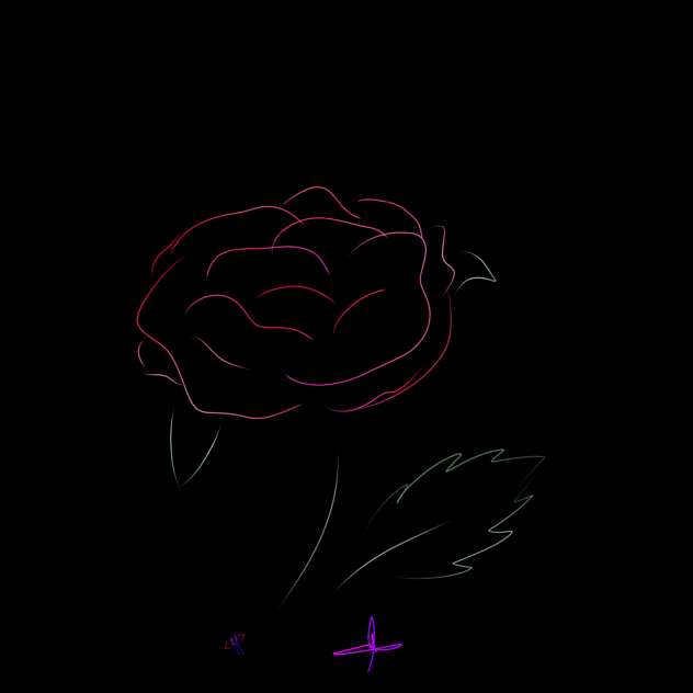Rose - ibisPaint