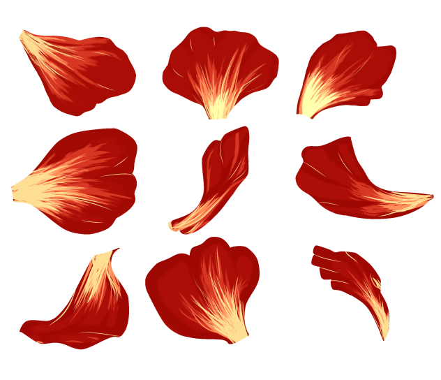 Red yellow Petals