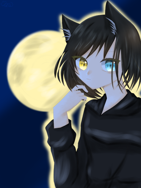 黒猫と月