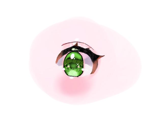 動画見て描いた目