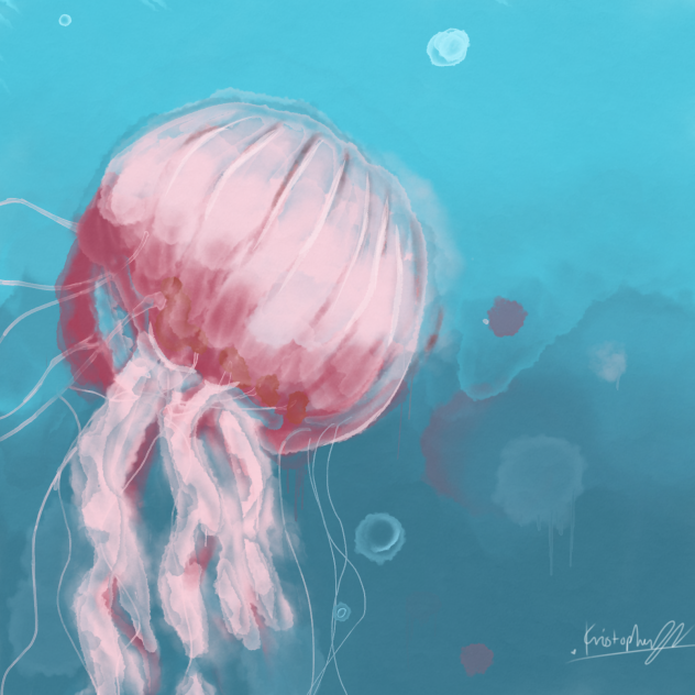 Jelly ✨