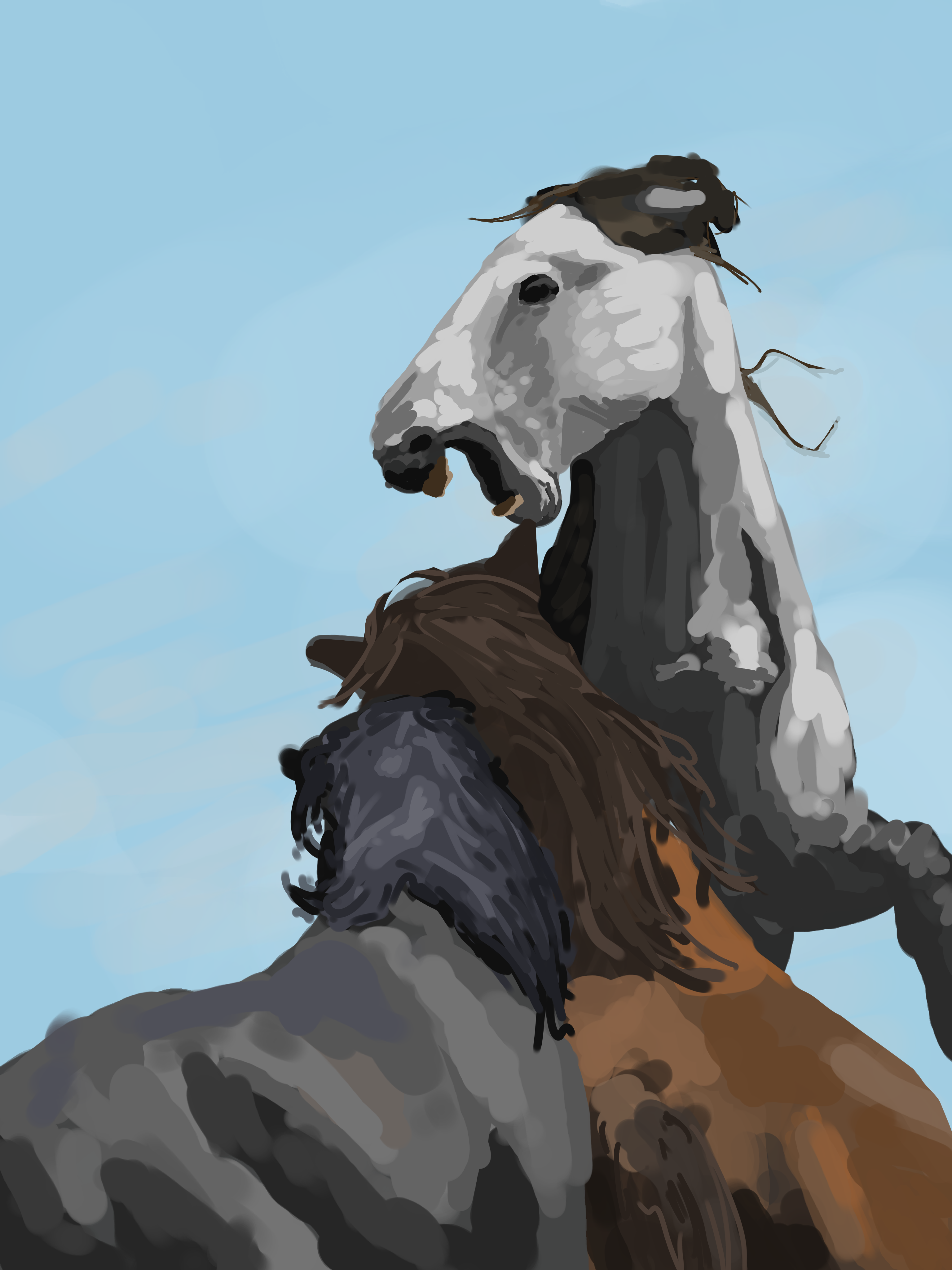 horses horsing - ibisPaint