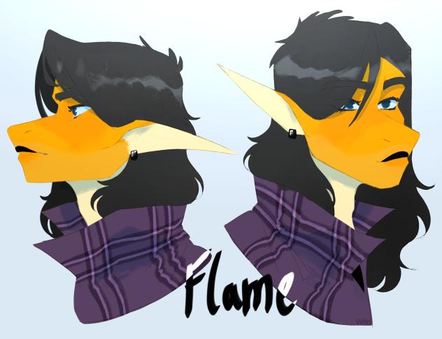 Flame - Face ref