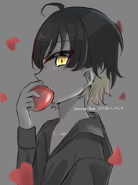 「大きな箱より小さな箱に幸せはあるらしい」