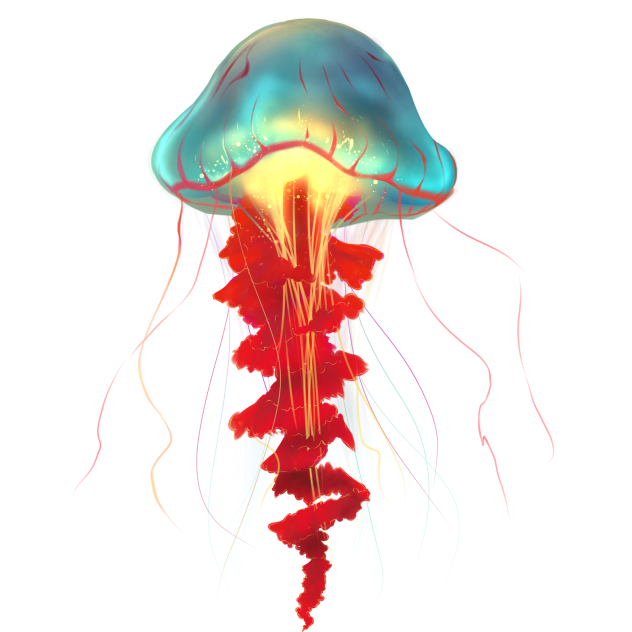 jellyfish