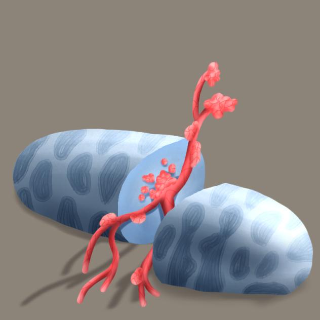 Resilience in Stillness