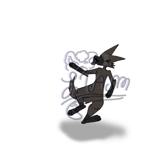 anthro collab