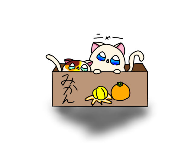 どこいくのー
